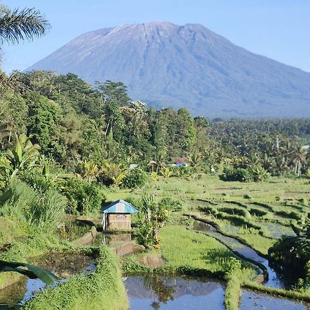 Wikan House Bebandem Luaran gambar